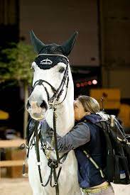Horseriding Horserider Equine Cornado Nrw Getting Hugged By His Groom Kay Neatham After His Win In The Indoor Brabant Grand P Horses Cute Horses Sport Horse
