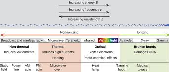 15 4 Biological Effects Of Radiation Chemistry Libretexts