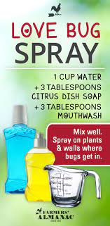 Completely soak your car with water. How To Get Rid Of Love Bugs Love Bugs Pest Control Bug Repellent