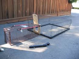 Our focus is to provide you a way to catch, transport and release your cats, while keeping you and your unwanted cats safe. Peninsula Catworks Drop Trap