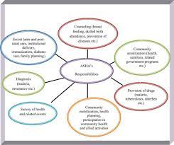 The Role Of Ashas In Improving Maternal And Newborn Health: A Closer Look  At India's Community Health Worker Program – Maternal Health Task Force