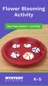 Finding the pistil, stamens, and ovary will be easy in some flowers — irises, tulips, amaryllis, daffodils, and gladiolus flowers all have parts similar to the lily. Flower Blooming Activity Video Science For Kids Science Experiments Kids Preschool Science