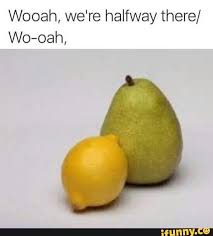 Lemon On A Pear Terrible Puns Dad Jokes Funny
