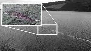 A Real Picture Of The Loch Ness Monster / About The Real Estate Seller  Industry