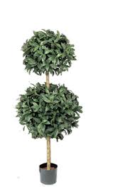 Téléchargez de superbes images gratuites sur arbres à feuillage persistant. Lauriers Artificiels En Haie Boule Ou Arbuste