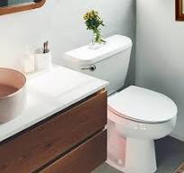 Korky 6070BP BN STRONGARM Levier de réservoir universel pour toilettes à  angle avant gauche et droit, nickel brossé, style classique : Amazon.ca: ...