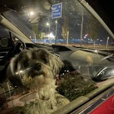 CELL PHONE WAITING LOT