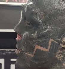 Body modification (or body alteration) is the deliberate altering of the human anatomy. Extreme Body Modification Fan Turns Alien By Getting Tongue Split And Nose Removed Daily Star