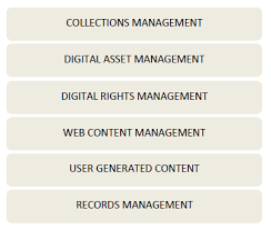 To give the agent power over digital assets: Spectrum Digital Asset Management Canada Ca