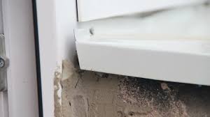 The same origin (same site) policy limits access of windows and frames to each other. Hornet S Nest In The Window Frame Euro W Stock Video Pond5