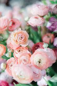 Pink And Peach Ranunculus Are So Cheerful And They Make Me So Happy Peach Ranunculus Peach Flowers Flowers