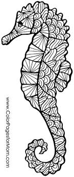 We have collected 36+ seahorse coloring page images of various designs for you to color. Pin On I Love Coloring