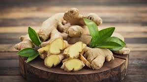 First, let's talk about the elephant in the room…or should we say, the rhizome. How To Grow Ginger