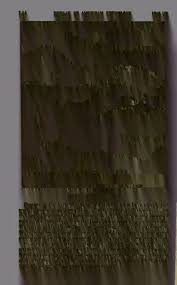 Image result for Champe Green 1929 Buick