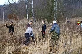 Von der kiesgrube zum naturreservat. Pflegeeinsatz Des Nabu Im Geschutzten Areal An Den Baggerseen Arbeitseinsatz An Den Wernauer Baggerseen Kreis Esslinger Zeitung