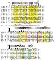 Last check ip proxy & port online. Structural Basis For Negative Regulation Of Hypoxia Inducible Factor 1a By Cited2 Nature Structural Molecular Biology