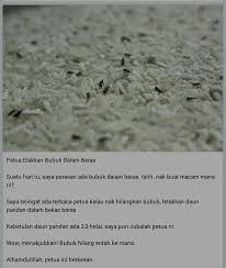 Petua menghilangkan bubuk beras | bubuk beras ataupun kutu beras terjadi hampir di kesemua rumah di malaysia. Tips Petua Hilangkan Kutu Beras Tips Beras Info