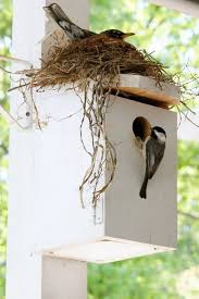 Bird Watcher Supply Company Bird House Backyard Birds Birds