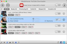 Der Youtube Downloader Von Mediahuman Die Einfachste Losung Fur Den Download Von Youtube Videos
