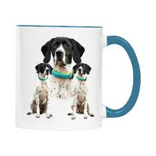 Image result for auvergneský ohař