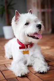 I know you won't give me a kiss 💋 because I'm not beautiful.