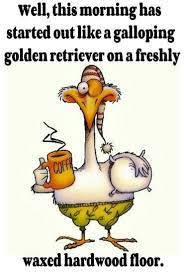 Pin By Laurel October On Coffee Good Morning Funny Pictures Good Morning Funny Morning Quotes Funny
