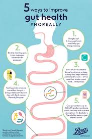 5 Ways To Improve Gut Health Noreally Improve Gut Health Gut Health Health Inspiration