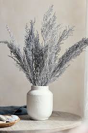 Image result for Stoebe