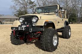 Image result for Light Desert Tan 1983 Tempo