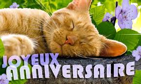 Cartes Anniversaire A Imprimer Gratuites Dromadaire Recherche Google Carte Anniversaire Chat Anniversaire Animaux Carte Anniversaire