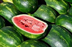 How do you know if a watermelon is over ripe? Growing Watermelons How To Plant And Grow Watermelons At Home The Old Farmer S Almanac