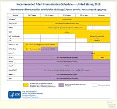 2018 u s adult immunization schedule