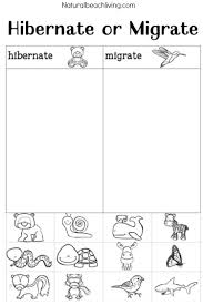 You Ll Love These Winter Animals For Preschool Ideas Winter Animals Preschool Animals That Hibernate Animal Activities For Kids