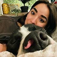 Thesila Prophecy: The Journey Home by Robert Rumble