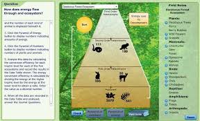 Model Ecosystems Biology Lessons Life Science Lessons Biology Classroom