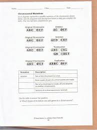 Chromosomal Mutations Worksheet Biology Worksheet Mutation Practices Worksheets