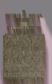 Image result for Lophiocarpus tenuissimus