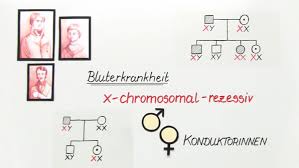 Es ist üblich, hierbei mit einer stammbaumanalyse zu arbeiten. Vererbung Beim Menschen Und Erbkrankheiten Online Lernen