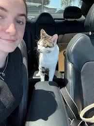 Found turkey at DQ in Kaufman County