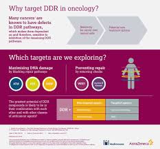 The european medicines agency (ema) is to hold an emergency meeting on thursday to consider its next move after several eu nations suspended their rollouts of the oxford/astrazeneca. Astrazeneca On Twitter Here S Why We Re Targeting Dna Damage Response In Oncology And Specifically Which Targets We Re Exploring Asco16