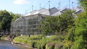 Genoeg ruimte dus om veilig te genieten van uw bezoek. Oasis In The City Inside Amsterdam S Hortus Botanicus