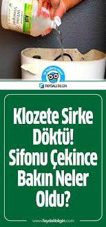 Pratik Bilgiler Panosundaki Pin