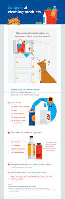 Pet Friendly Cleaning Tips Petcoach