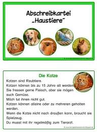 Lesekartei Und Abschreibkartei Zum Thema Haustiere In Druckschrift Schulhund Abschreibtexte Lernen Macht Spass