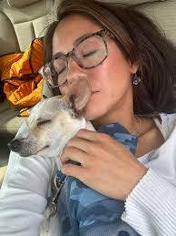 San Antonio Housing, Rooms, Apartments, Sublets