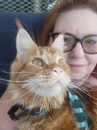 Sleepy town where are you how sweet it would feel to sleep awhile Flip n  flop ughhhh🙏😭