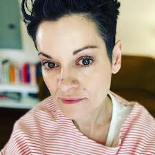 How to introduce a kitten to two Newfoundland dogs?