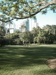 Brisbane Botanic Gardens Queensland Australia The Great Outdoors Public Garden