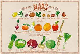 Calendrier De Mars Pissenlit Fruits Et Legumes De Saison Legumes Mars Calendrier Fruits Et Legumes