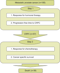 Experimental Design Flow Chart Crpc Castration Resistant